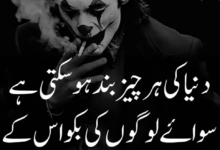 Attitude Poetry In Urdu 2 Lines Text