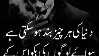 Attitude Poetry In Urdu 2 Lines Text