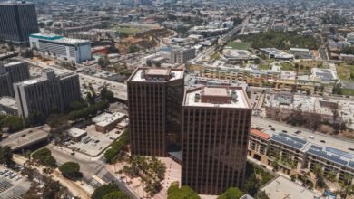 business expansion contact numbers