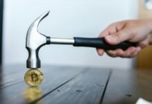 market signals for analysis