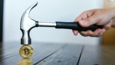 market signals for analysis