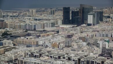 sector expansion overview details