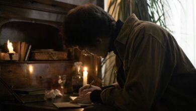 sector intelligence study analysis